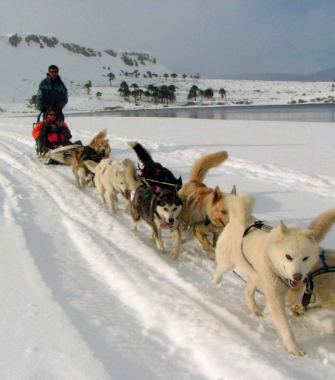 Paseo en trineo con perros en Ushuaia