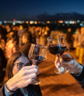 Degustación de vinos en Mendoza