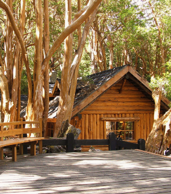 Bosques de Arrayanes, Neuquén 