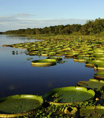 Esteros del Iberá, Corrientes
